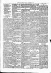 Nuneaton Observer Friday 20 December 1878 Page 7