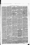 Nuneaton Observer Friday 03 January 1879 Page 3