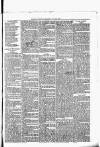 Nuneaton Observer Friday 03 January 1879 Page 7