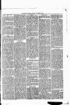 Nuneaton Observer Friday 10 January 1879 Page 3