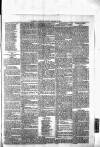 Nuneaton Observer Friday 17 January 1879 Page 7