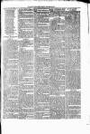 Nuneaton Observer Friday 24 January 1879 Page 7