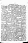 Nuneaton Observer Friday 21 February 1879 Page 1