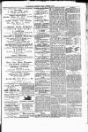 Nuneaton Observer Friday 10 October 1879 Page 4