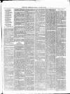 Nuneaton Observer Friday 05 March 1880 Page 7