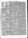 Nuneaton Observer Friday 18 June 1880 Page 3
