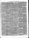 Nuneaton Observer Friday 18 June 1880 Page 7