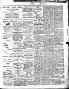 Nuneaton Observer Friday 07 January 1881 Page 5