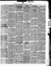 Nuneaton Observer Friday 07 January 1881 Page 7