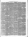 Nuneaton Observer Friday 20 May 1881 Page 7