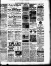 Nuneaton Observer Friday 06 April 1883 Page 3