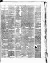 Nuneaton Observer Friday 03 January 1890 Page 7