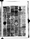 Nuneaton Observer Friday 04 April 1890 Page 3