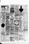 Nuneaton Observer Friday 18 April 1890 Page 3