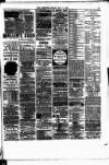 Nuneaton Observer Friday 09 May 1890 Page 3