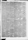 Caernarvon & Denbigh Herald Saturday 15 July 1848 Page 5