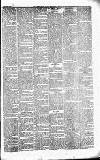 Caernarvon & Denbigh Herald Saturday 09 February 1850 Page 5