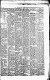 Caernarvon & Denbigh Herald Saturday 09 August 1851 Page 5