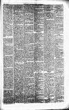 Caernarvon & Denbigh Herald Saturday 09 April 1853 Page 5