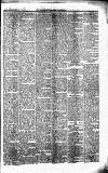 Caernarvon & Denbigh Herald Saturday 14 May 1853 Page 5