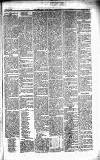 Caernarvon & Denbigh Herald Saturday 14 January 1854 Page 5
