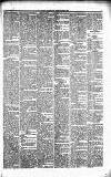 Caernarvon & Denbigh Herald Saturday 04 February 1854 Page 5
