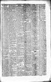Caernarvon & Denbigh Herald Saturday 15 April 1854 Page 5