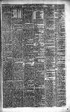 Caernarvon & Denbigh Herald Saturday 13 January 1855 Page 5