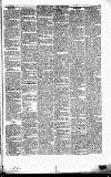 Caernarvon & Denbigh Herald Saturday 22 November 1856 Page 3