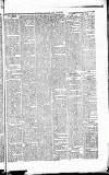Caernarvon & Denbigh Herald Saturday 29 November 1856 Page 5