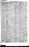 Caernarvon & Denbigh Herald Saturday 10 January 1857 Page 5