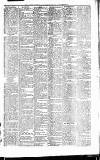 Caernarvon & Denbigh Herald Saturday 13 November 1858 Page 5