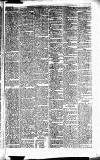 Caernarvon & Denbigh Herald Saturday 27 November 1858 Page 5