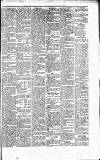 Caernarvon & Denbigh Herald Saturday 29 January 1859 Page 5