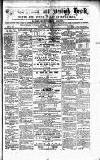 Caernarvon & Denbigh Herald Saturday 26 February 1859 Page 1