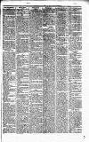 Caernarvon & Denbigh Herald Saturday 03 September 1859 Page 5