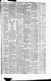Caernarvon & Denbigh Herald Saturday 10 March 1860 Page 5