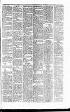 Caernarvon & Denbigh Herald Saturday 09 June 1860 Page 5