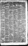 Caernarvon & Denbigh Herald Saturday 23 February 1861 Page 5