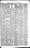 Caernarvon & Denbigh Herald Saturday 16 March 1861 Page 5