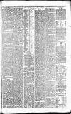 Caernarvon & Denbigh Herald Saturday 16 March 1861 Page 7