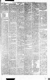 Caernarvon & Denbigh Herald Saturday 10 January 1863 Page 5