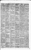 Caernarvon & Denbigh Herald Saturday 31 January 1863 Page 3
