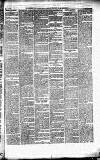 Caernarvon & Denbigh Herald Saturday 12 March 1864 Page 3