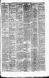 Caernarvon & Denbigh Herald Saturday 28 January 1865 Page 3