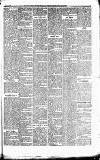 Caernarvon & Denbigh Herald Saturday 11 March 1865 Page 5