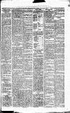 Caernarvon & Denbigh Herald Saturday 12 August 1865 Page 3