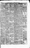 Caernarvon & Denbigh Herald Monday 18 September 1865 Page 3