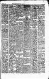 Caernarvon & Denbigh Herald Monday 18 September 1865 Page 5