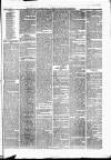 Caernarvon & Denbigh Herald Saturday 18 November 1865 Page 3
